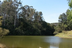 clube-de-campo-18