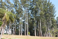 clube-de-campo-24