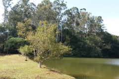 clube-de-campo-30