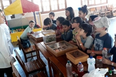 colonia-de-ferias-junho-2019-27