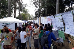 feira-de-ciencia-sociedade-em-defesa-da-educacao-117