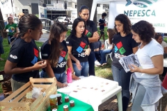 feira-de-ciencia-sociedade-em-defesa-da-educacao-12