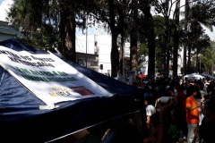 feira-de-ciencia-sociedade-em-defesa-da-educacao-59