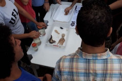 feira-de-ciencia-sociedade-em-defesa-da-educacao-65