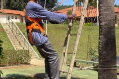 Treinamento-16