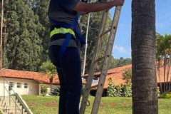 Treinamento-19