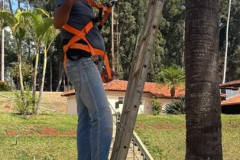 Treinamento-20