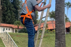 treinamento-5