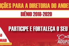 votacao-para-a-nova-diretoria-do-andes-sn-8
